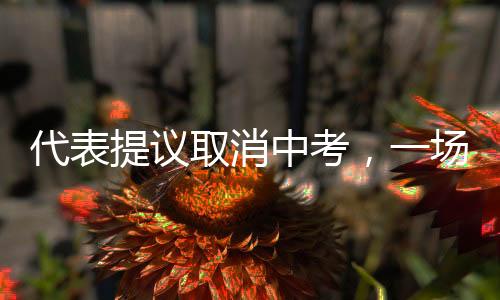 代表提議取消中考，一場關(guān)于教育改革的深度探討