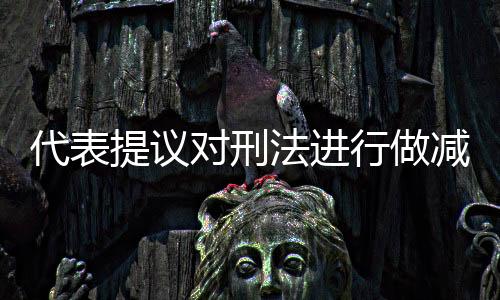 代表提議對刑法進行做減法，尋求更精準的司法公正與人文關懷