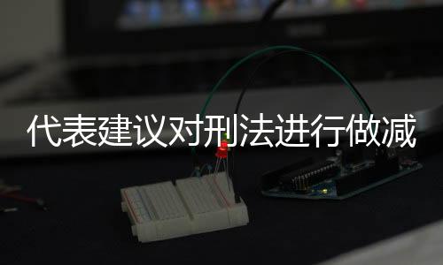 代表建議對刑法進(jìn)行做減法，推動刑罰體系更加科學(xué)完善