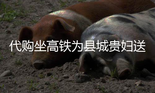 代購坐高鐵為縣城貴婦送上萬元蛋糕，跨越距離的美食情緣