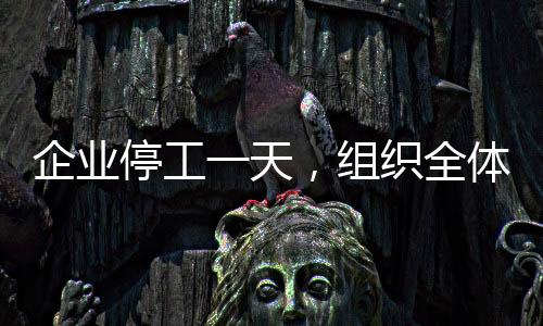 企業(yè)停工一天，組織全體員工觀看電影哪吒之魔童降世
