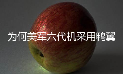 為何美軍六代機采用鴨翼設(shè)計并不被看好