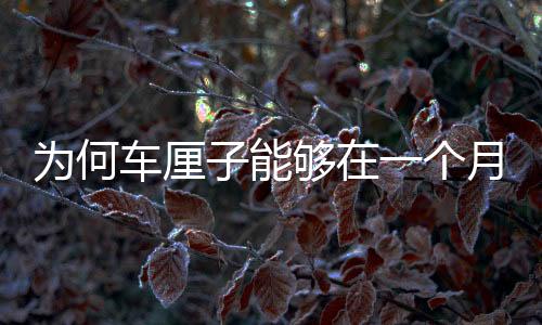 為何車厘子能夠在一個月內(nèi)跨越萬里到中國而不腐爛？解密背后的故事