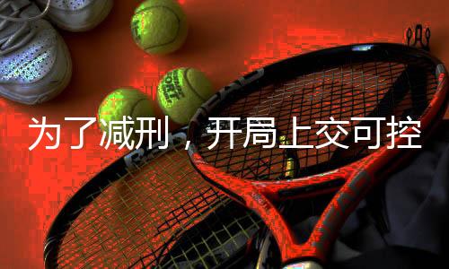 為了減刑，開局上交可控核聚變