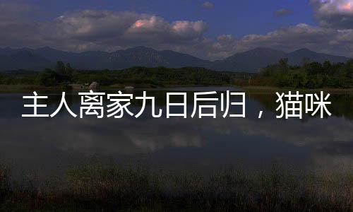 主人離家九日后歸，貓咪守護(hù)卻引發(fā)廁所水費(fèi)欠費(fèi)事件