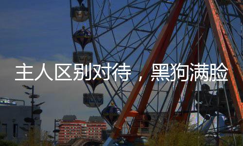 主人區(qū)別對(duì)待，黑狗滿臉委屈