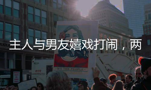 主人與男友嬉戲打鬧，兩只愛犬默契配合上演假打戲碼