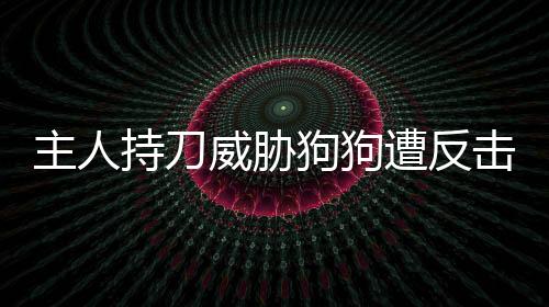 主人持刀威脅狗狗遭反擊，引發(fā)社會(huì)關(guān)注