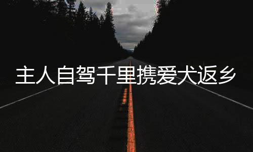 主人自駕千里攜愛犬返鄉(xiāng)，跨越萬里的旅程見證情感深長