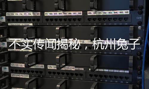 不實(shí)傳聞揭秘，杭州兔子警官崗位上被撞事件
