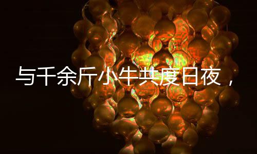與千余斤小牛共度日夜，一位00后女生的鄉(xiāng)村生活紀(jì)事