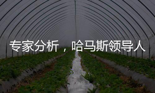 專家分析，哈馬斯領(lǐng)導(dǎo)人面臨死亡接力賽