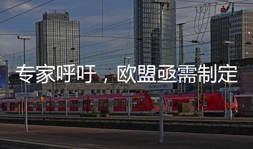 專家呼吁，歐盟亟需制定獨立外交政策