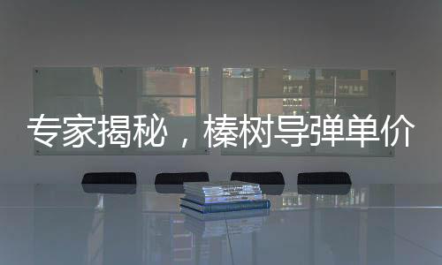 專家揭秘，榛樹導(dǎo)彈單價驚人，遠超5000萬美元