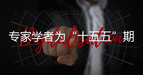 專家學(xué)者為“十五五”期間地方發(fā)展獻策 尋找突破路徑