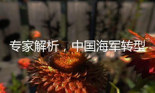 專家解析，中國(guó)海軍轉(zhuǎn)型為戰(zhàn)略性海軍的重大意義