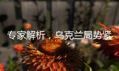 專家解析，烏克蘭局勢(shì)緊張，和平前景堪憂