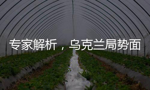 專家解析，烏克蘭局勢(shì)面臨嚴(yán)峻挑戰(zhàn)，未來何去何從？