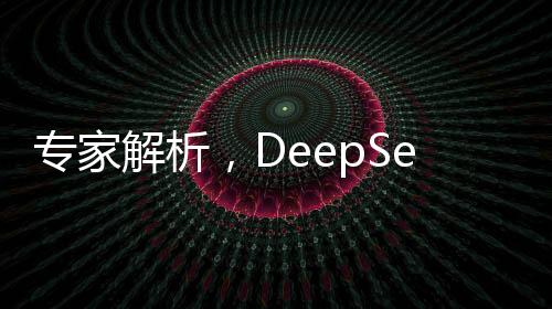 專家解析，DeepSeek項目的成功究竟是誰的勝利？