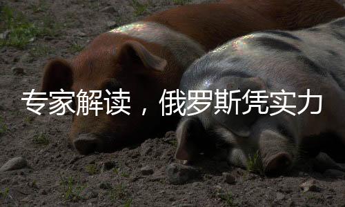專家解讀，俄羅斯憑實力推動美俄關系正常化