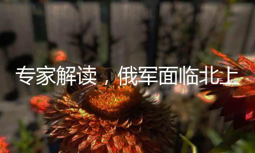 專(zhuān)家解讀，俄軍面臨北上西進(jìn)戰(zhàn)略抉擇