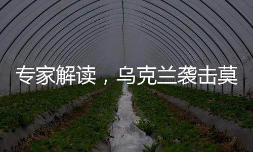 專家解讀，烏克蘭襲擊莫斯科背后的深層動(dòng)機(jī)——尋求美國援助