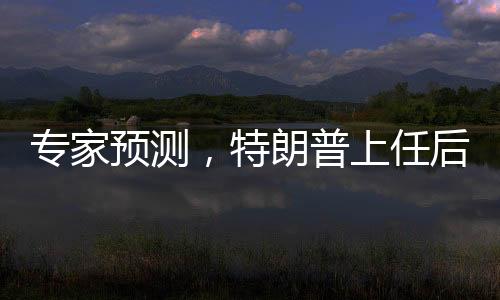專家預測，特朗普上任后將遭遇多重阻力
