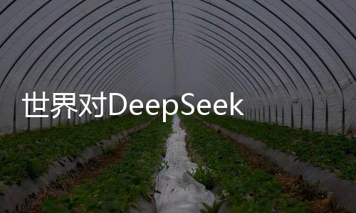 世界對DeepSeek的驚嘆持續(xù)不斷