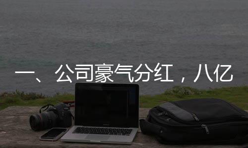 一、公司豪氣分紅，八億獎金花落誰家？