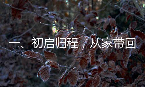 一、初啟歸程，從家?guī)Щ?0斤年貨喜悅迎新春