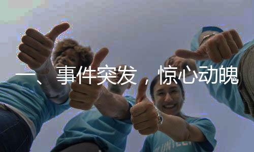 一、事件突發(fā)，驚心動(dòng)魄