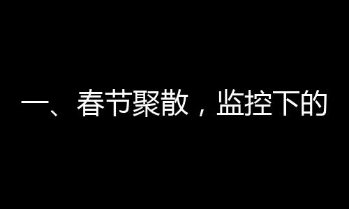一、春節(jié)聚散，監(jiān)控下的中國(guó)人過(guò)年場(chǎng)景