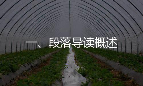 一、段落導(dǎo)讀概述