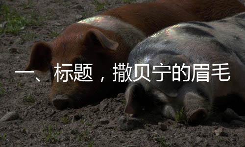 一、標(biāo)題，撒貝寧的眉毛，焦點(diǎn)之下的藝術(shù)之美