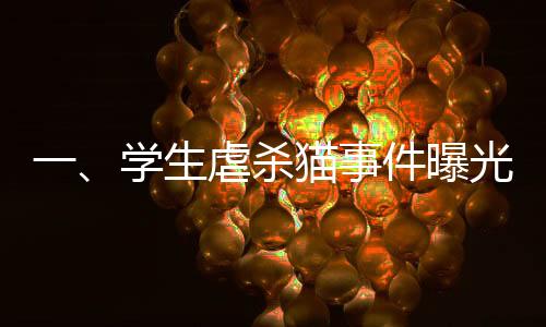 一、學生虐殺貓事件曝光，引發(fā)社會廣泛關注