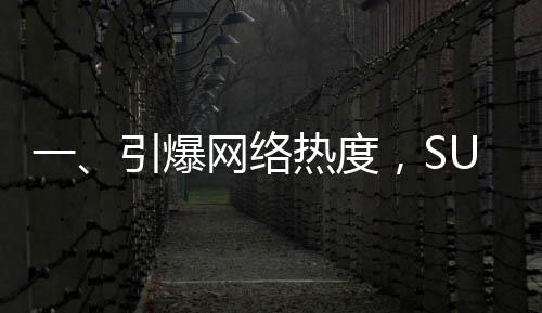 一、引爆網(wǎng)絡(luò)熱度，SU7 Ultra車主交付視頻席卷全網(wǎng)