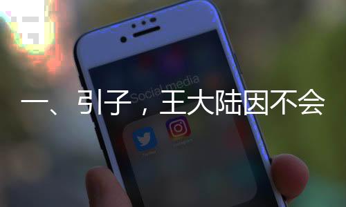 一、引子，王大陸因不會(huì)開(kāi)特斯拉車門(mén)捶窗事件引發(fā)關(guān)注