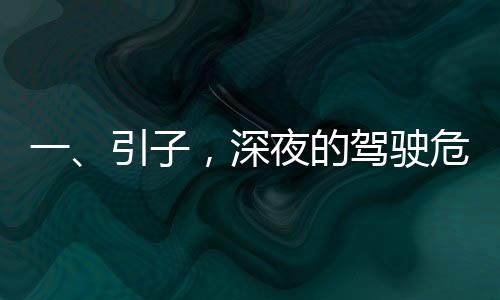一、引子，深夜的駕駛危機(jī)，時(shí)間考驗(yàn)人生選擇
