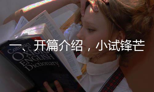 一、開篇介紹，小試鋒芒，邁向汽車行業(yè)新紀元
