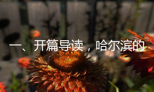 一、開篇導讀，哈爾濱的時尚魅力與俄羅斯模特的亮相
