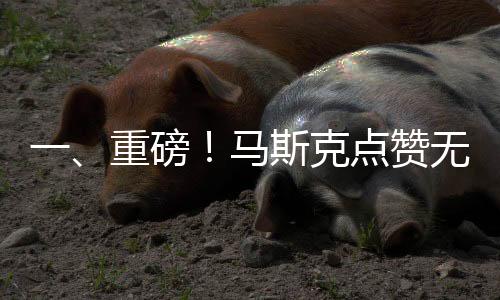 一、重磅！馬斯克點贊無錫拈花灣迎新年視頻
