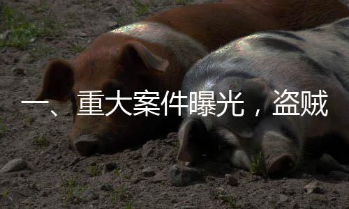 一、重大案件曝光，盜賊偷走價(jià)值4397萬金馬桶