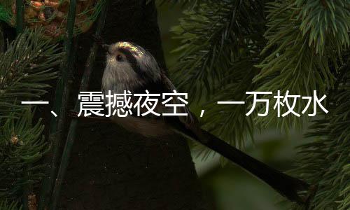 一、震撼夜空，一萬(wàn)枚水母煙花共舞蒼穹之頂