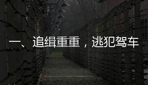 一、追緝重重，逃犯駕車沖撞民警事件揭秘