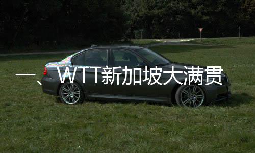 一、WTT新加坡大滿貫，賽場(chǎng)風(fēng)云再掀熱潮