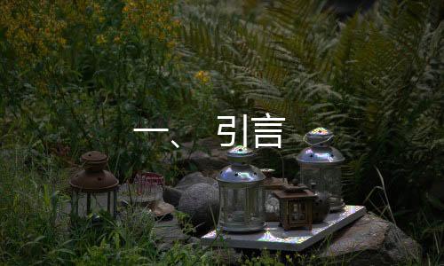 一、 引言