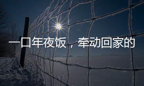 一口年夜飯，牽動回家的意義