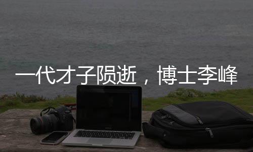 一代才子隕逝，博士李峰不幸辭世，留下無限惋惜與思考