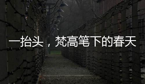 一抬頭，梵高筆下的春天躍然眼前