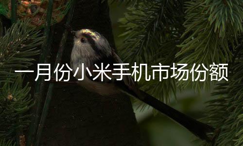 一月份小米手機市場份額位居中國第二，展現(xiàn)強勁競爭力